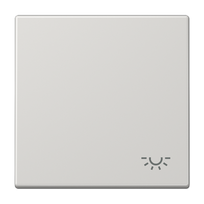 Изображение товара JUNG клавиша со световым символом, светло-серая