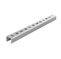Изображение товара OSTEC Профиль перфорированный С-образный 30х20х3000, толщ. 1,5 мм, Сендзимир цинк