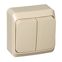 Изображение товара Systeme Electric Этюд наруж Крем Выключатель 2-клавишный