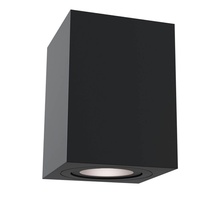 Изображение товара Maytoni Потолочный светильник Atom GU10 1x50Вт