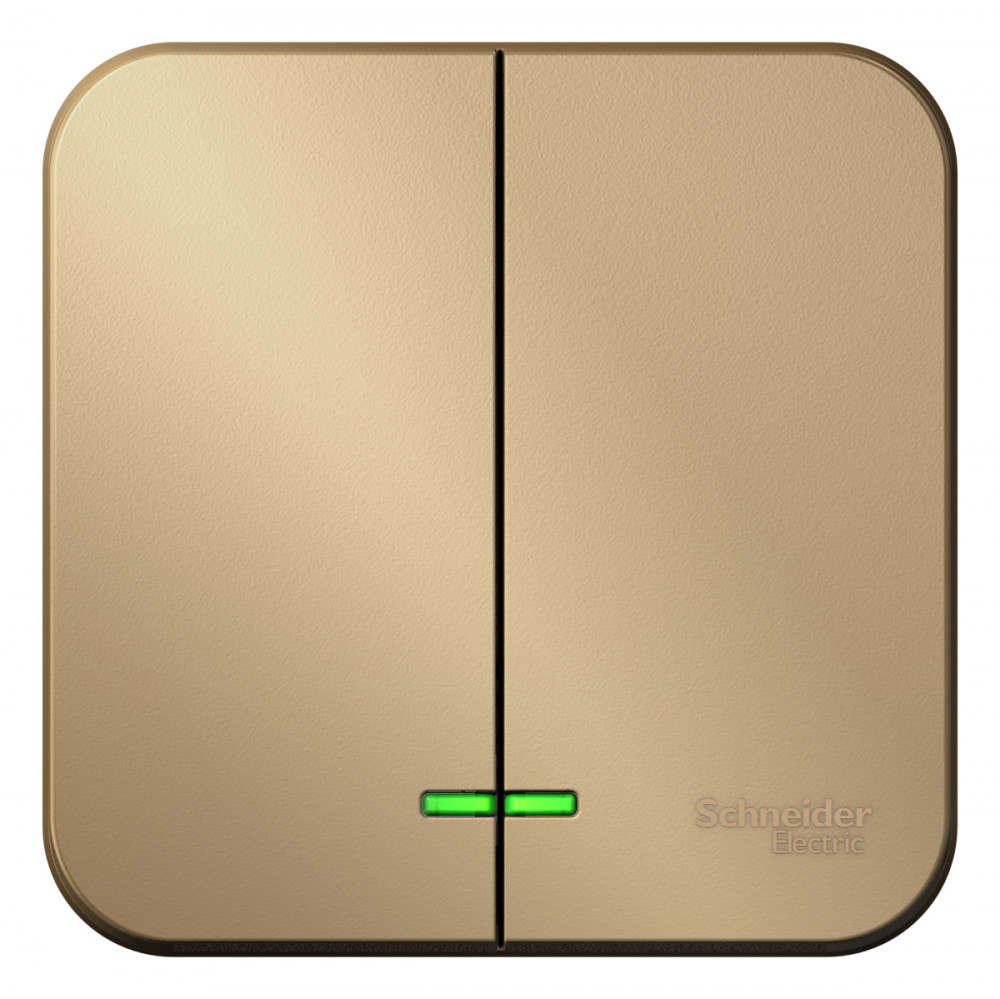 Изображение товара Systeme Electric Blanca наруж Титан Выключатель 2-клавишный с подсветкой 10А,250B, изолир. пластина