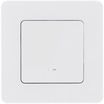 Изображение товара Legrand/Daccord INSPIRIA Белый Выключатель одноклавишный с подсветкой/индикацией 10 AX - 250 В.