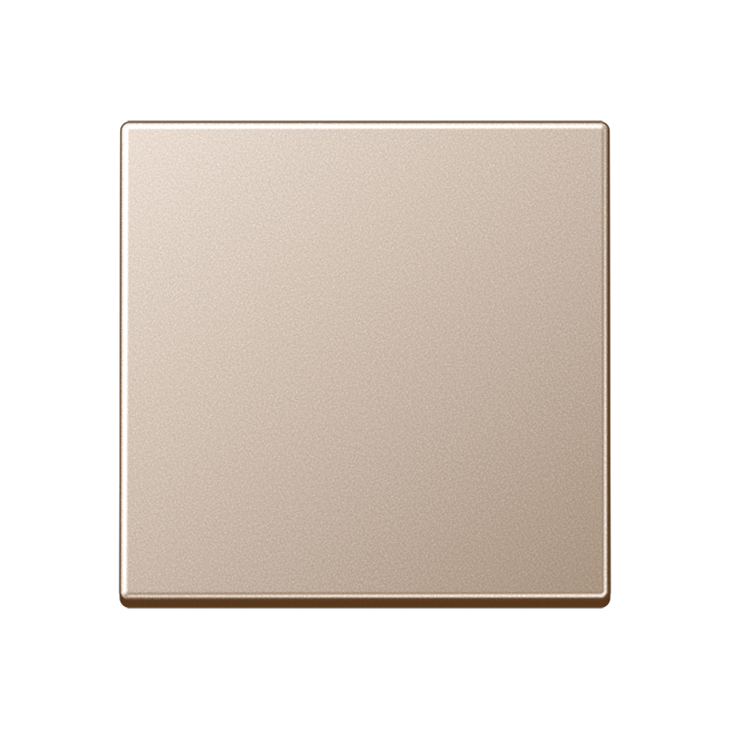 Изображение товара JUNG A 500 Шампань Клавиша 1-ая