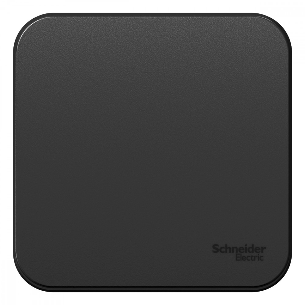 Изображение товара Systeme Electric Blanca наруж Антрацит Выключатель 1-клавишный, 10А, 250B