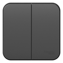 Изображение товара Systeme Electric Blanca наруж Антрацит Выключатель 2-клавишный, 10А, 250B