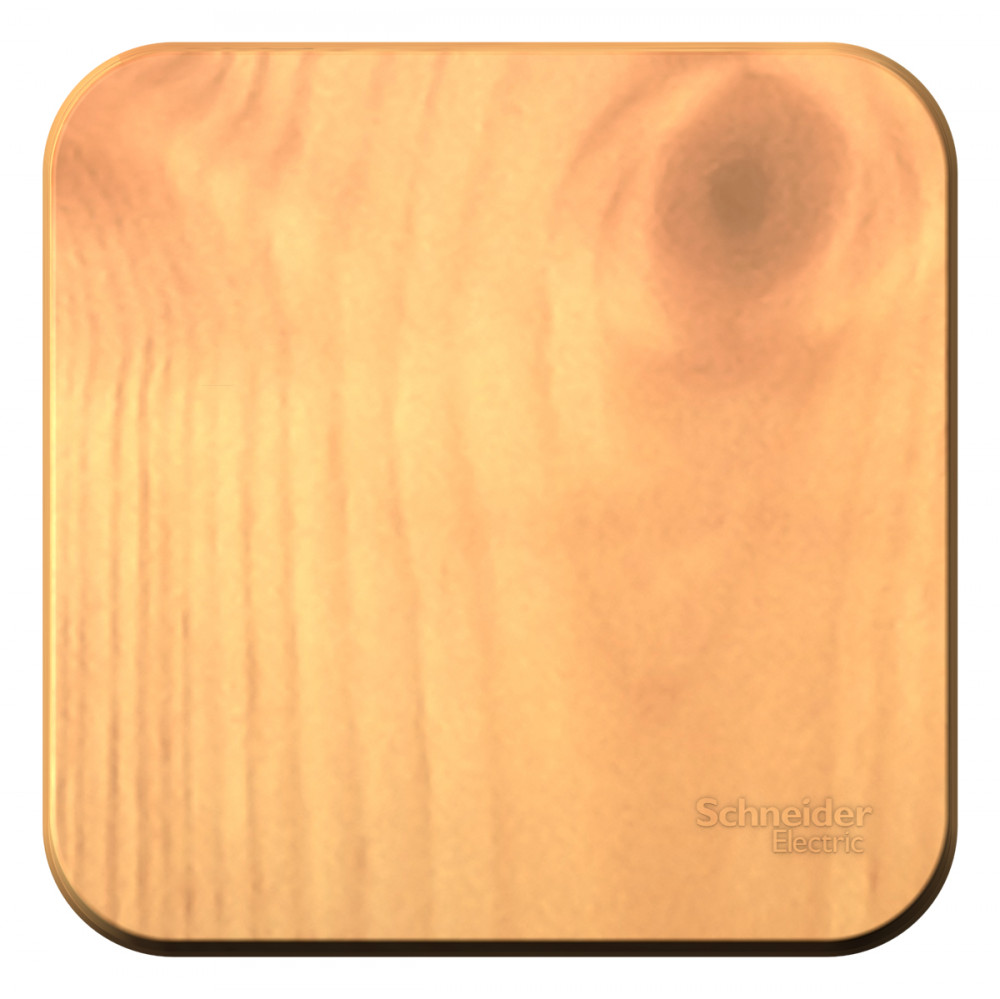 Изображение товара Systeme Electric Blanca наруж Ясень Выключатель 1-клавишный 10А, 250B, изолир. пластина