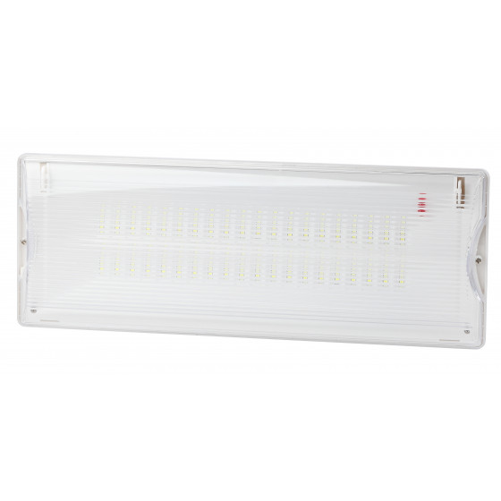 Изображение товара Автоматический аварийный светильник ЭРА DPA-301-1-65 40LED 3 часа IP65