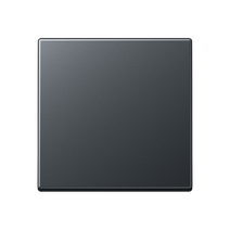 Изображение товара JUNG A 500 Антрацит Клавиша 1-ая