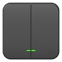 Изображение товара Systeme Electric Blanca наруж Антрацит Выключатель 2-клавишный с подсветкой 10А,250B, изолир. пластина