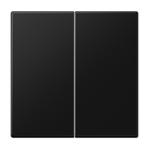 Изображение товара JUNG LS 990 Черный матовый Клавиша 2-ая