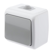 Изображение товара Intro Выключатель Atlantic 5-101-03 10А-250В, IP54, открытой установки, серый