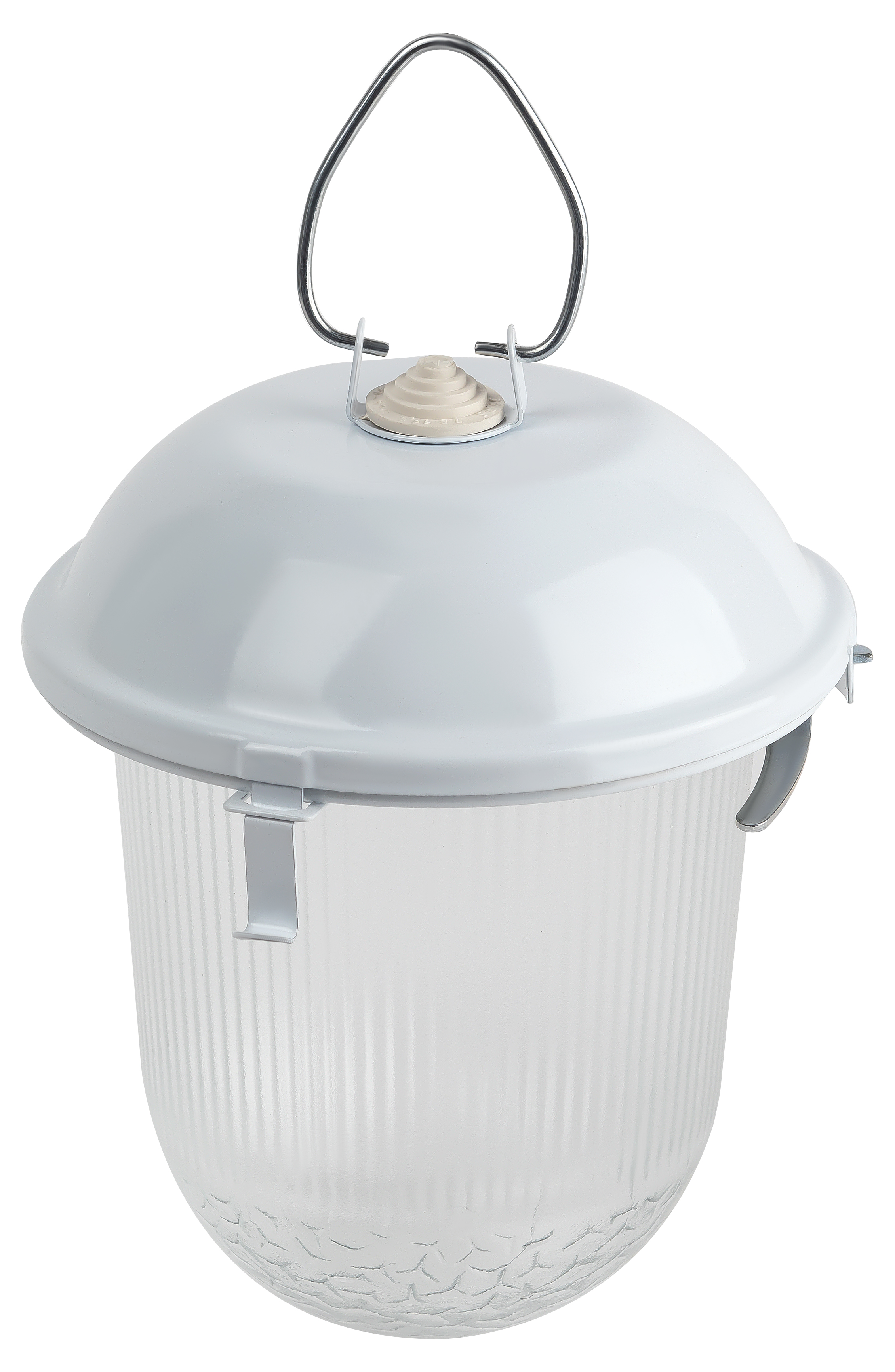 Изображение товара ЭРА Светильник НСП 02-100-001 без решетки Желудь сталь / стекло IP54 E27 max 100Вт 262х172 белый