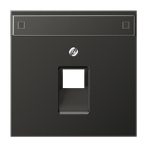 Изображение товара JUNG LS 990 Антрацит Накладка 1-ой наклонной ТЛФ/комп розетки с полем для надписи