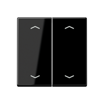 Изображение товара JUNG A 500 Черная Клавиша для двойной кнопки BCU нейтрал.положения с символами