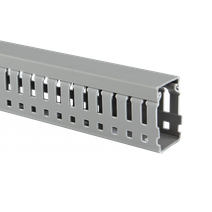 Изображение товара EKF Канал кабельный перфорированный (ВхШ: 40x25мм.) PROxima