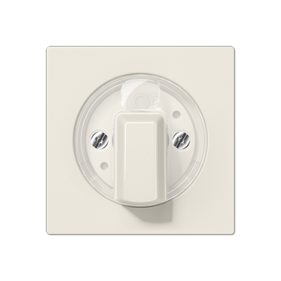 Изображение товара JUNG АS 500 Бежевая Накладка поворотного выключателя, таймера, жалюзийного выключателя