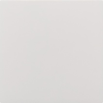 Изображение товара Legrand/Daccord Белый Заглушка 2М.