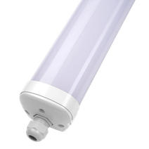 Изображение товара Jazzway PWP-OS 600 18w 4000K IP65 190-240V/50Hz/E