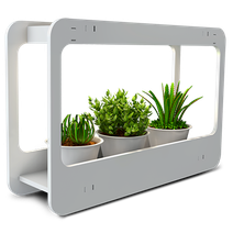 Изображение товара Jazzway Cветодиодная подставка PMG 002 LED 14W 4000K (подставка для цветов)