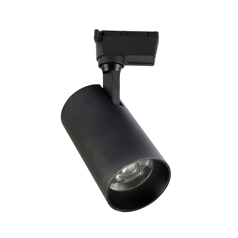 Изображение товара Jazzway PTR 0725 25w 4000K 24° BL (чёрный) IP40 Изображение товара Jazzway PTR 0725 25w 4000K 24° BL (чёрный) IP40