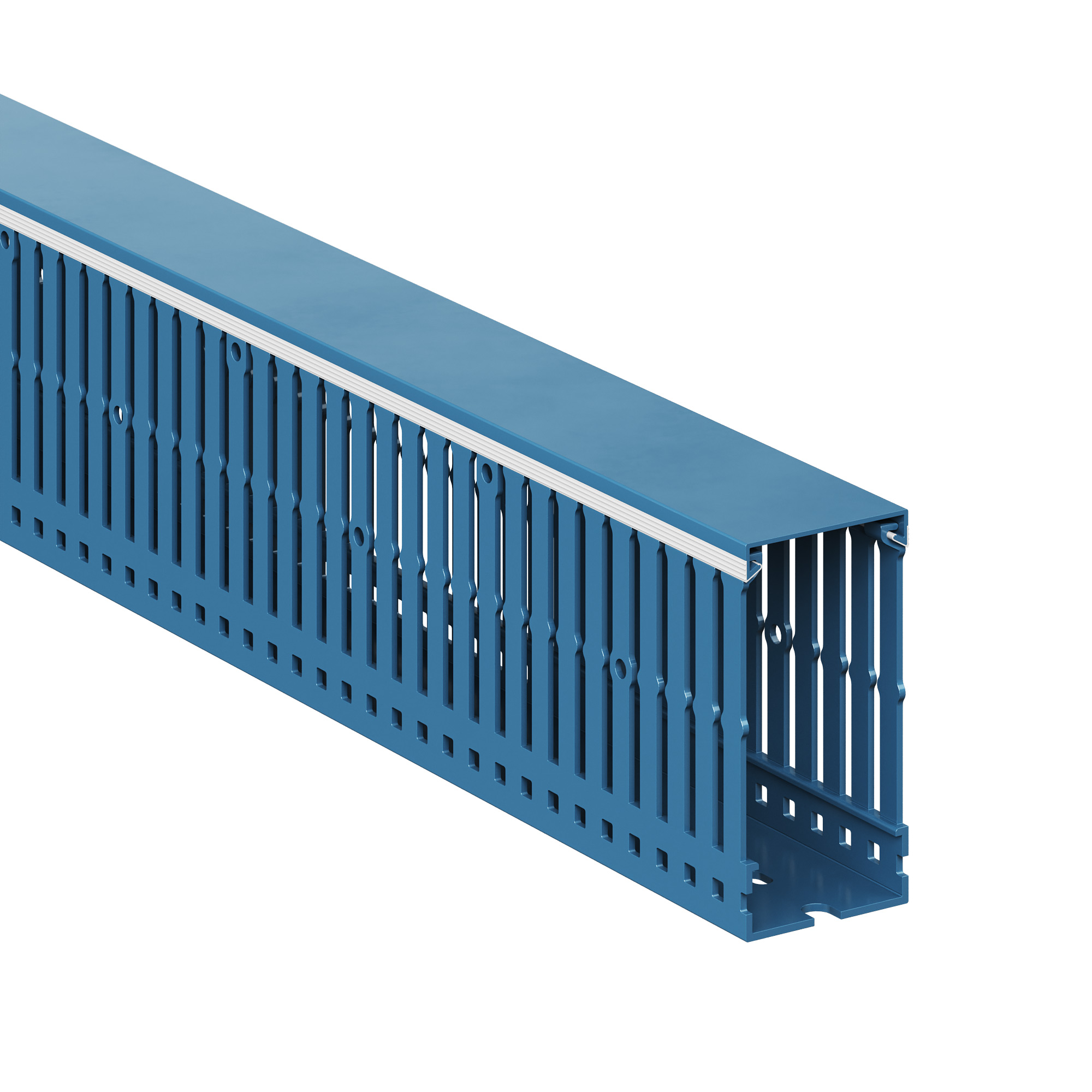 Изображение товара DKC Короб перфорированный, синий RL6 40x80 Изображение товара DKC Короб перфорированный, синий RL6 40x80